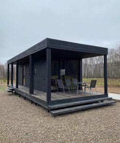 Проект БТ-6024дпт